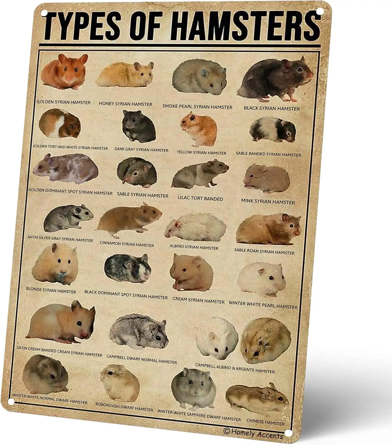 Types Of Hamsters Metal Signs, Vintage Educational Poster Tin Signs for Farmhouse Bathroom, Cafe Bar Wall Decor Gift for Hamster