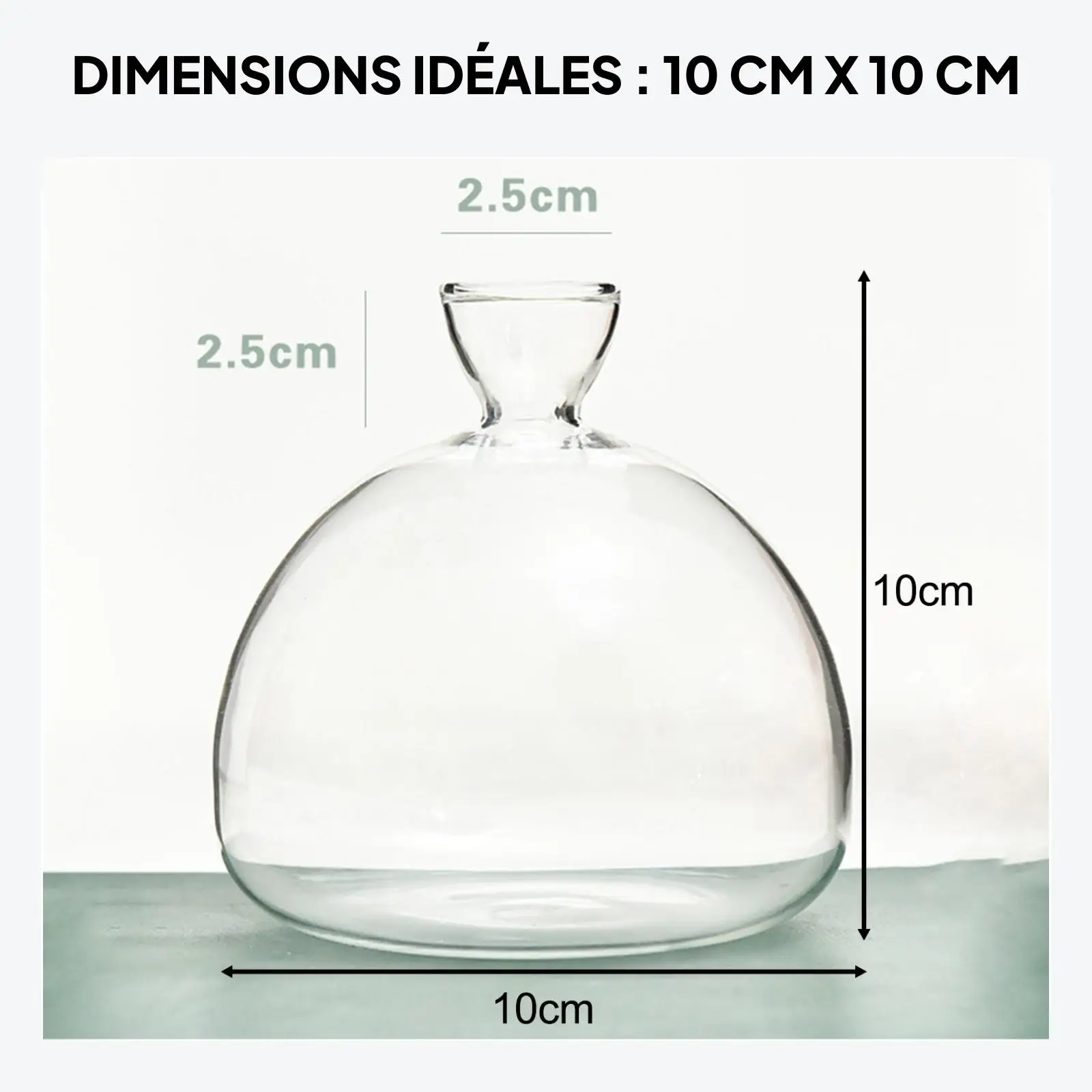 Avocado Seed Starter Vase Avocado Tree Growing Vase Kit ,Hydroponics Transparent Glass Vase for Planter Gift,Mom Best Friend