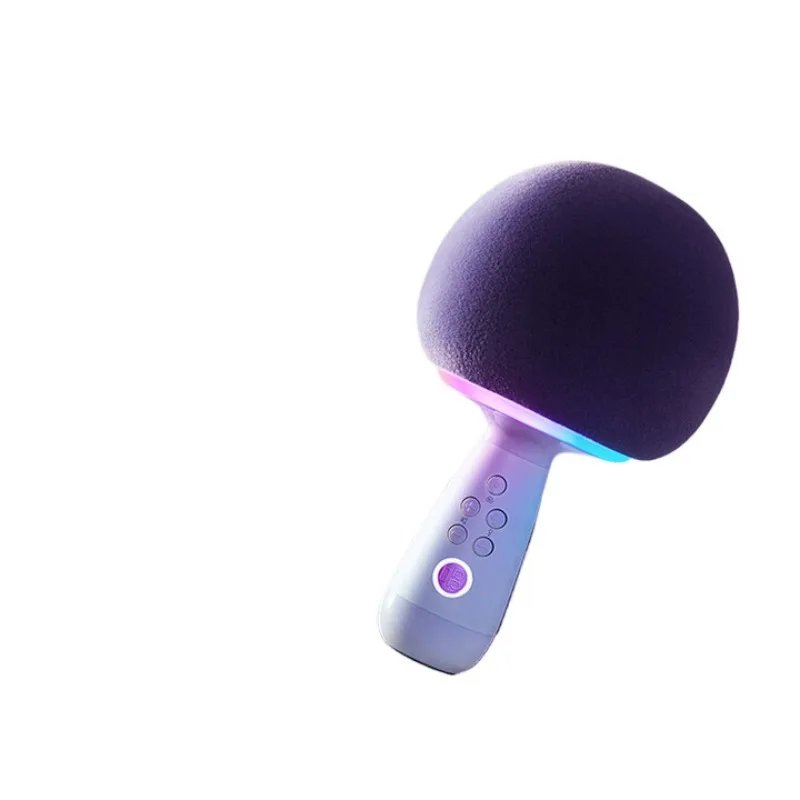 

integrated microphone and stereo, family KTV outdoor camping portable speakers