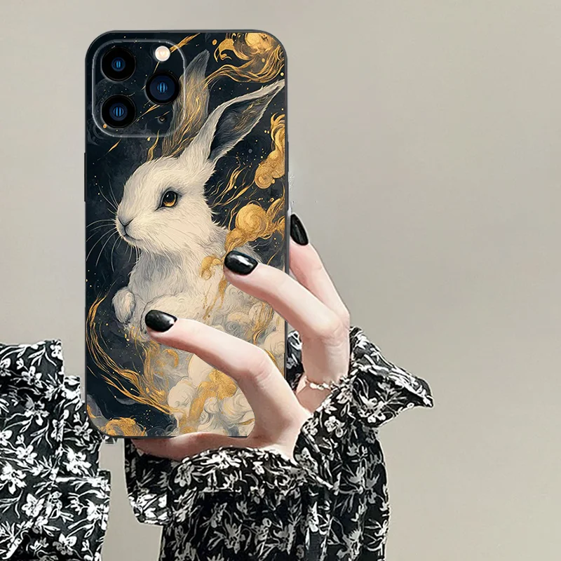 for iPhone 13 Mini 14 15 11 Pro 16 12 XR 7 G X XS MAX 8 Plus TPU Black Soft Phone Case Zodiac Pattern Series Protective Cover