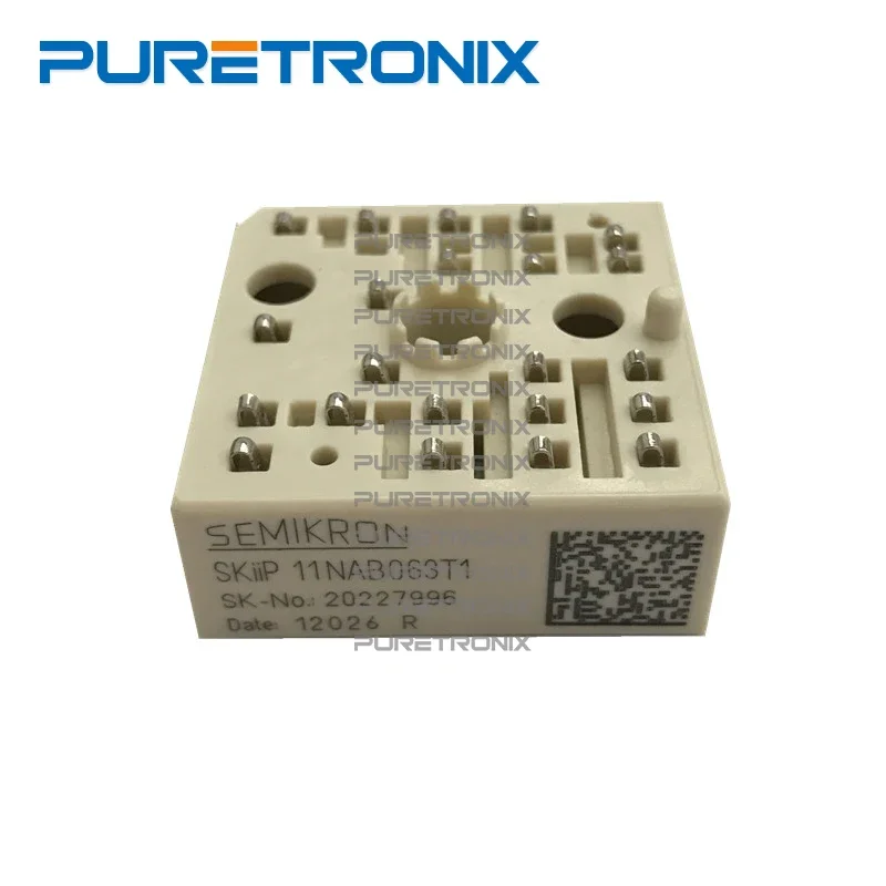 SKIIP11NAB063T1 SKIIP11NAB063T42 Modul Daya