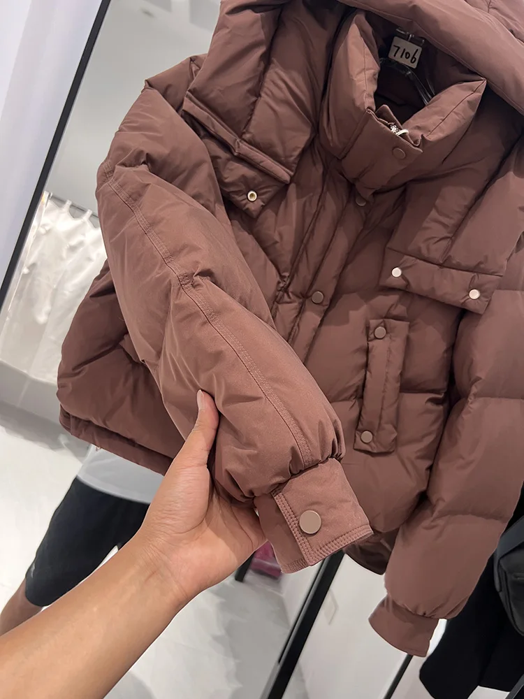 2025 hiver nouvelle mode doudoune femmes mode à capuche décontracté polyvalent couleur unie court blanc canard vers le bas manteau