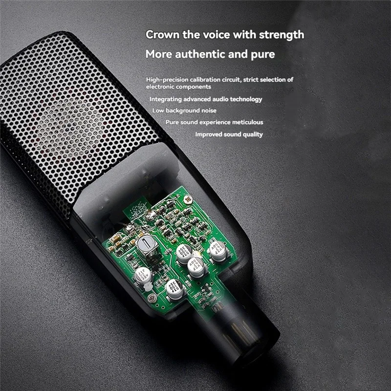 

Professional Recording Microphone With Shock Mount And Filter For Vocal Recording Podcasting Radio Studio Condenser Mic-ABIU
