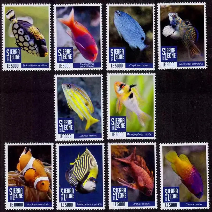 Sierra Leone Post Stamps Postage Year 2020 Fairy Fish Scalfish 1 Set 10 New Collectible Postage Stamps Material For Scrapbooking