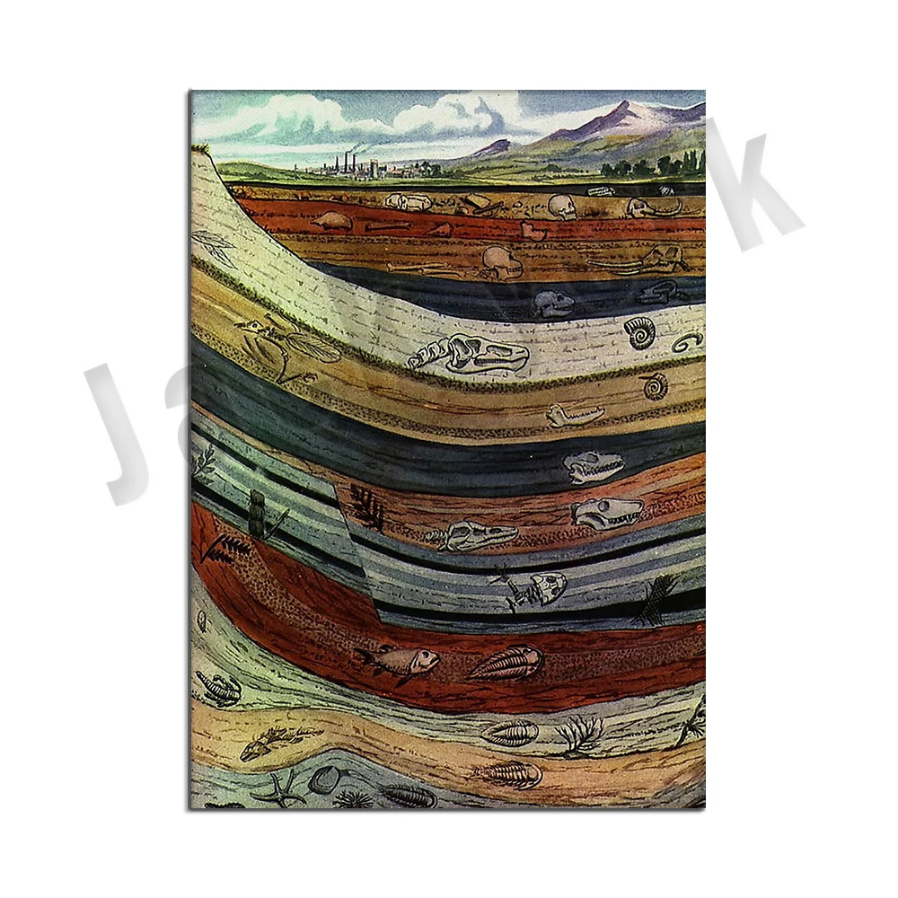 Fossils and Geological Time Poster, Geological Time Ruler Wall Art, Earth Science Diagram Wall Decor, Natural History Art Print