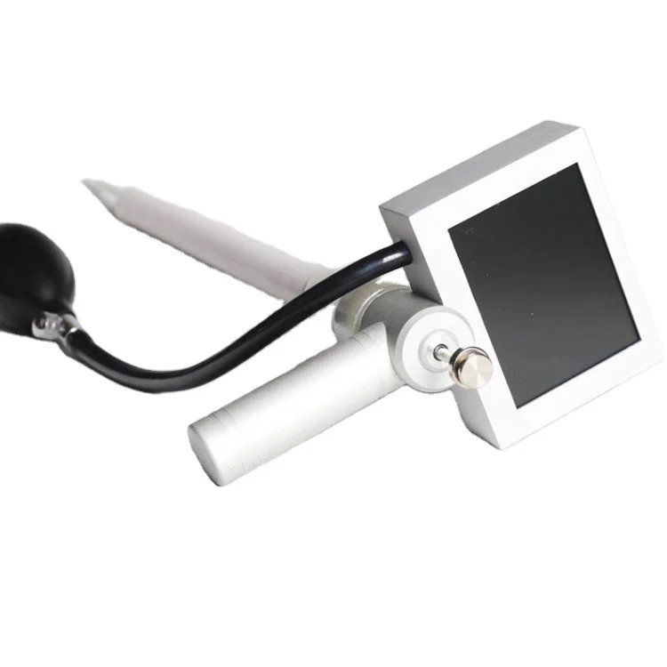 

Cow Horse And Dog Insemination Gun Animal Visual