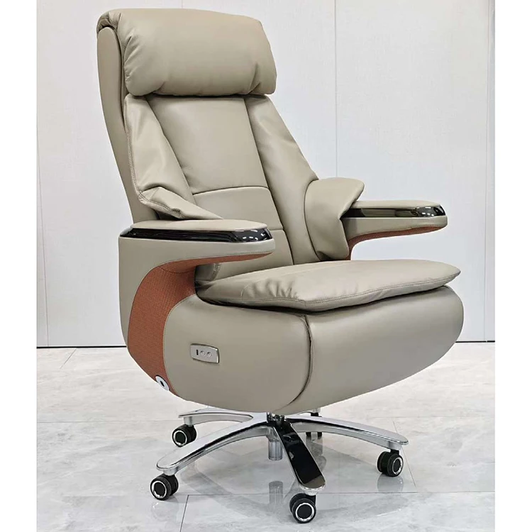 

Massage ChairOffice Chair Recliner Bureau Ergonomics Electric Recliner Thick Leather 160 Adjustable Office