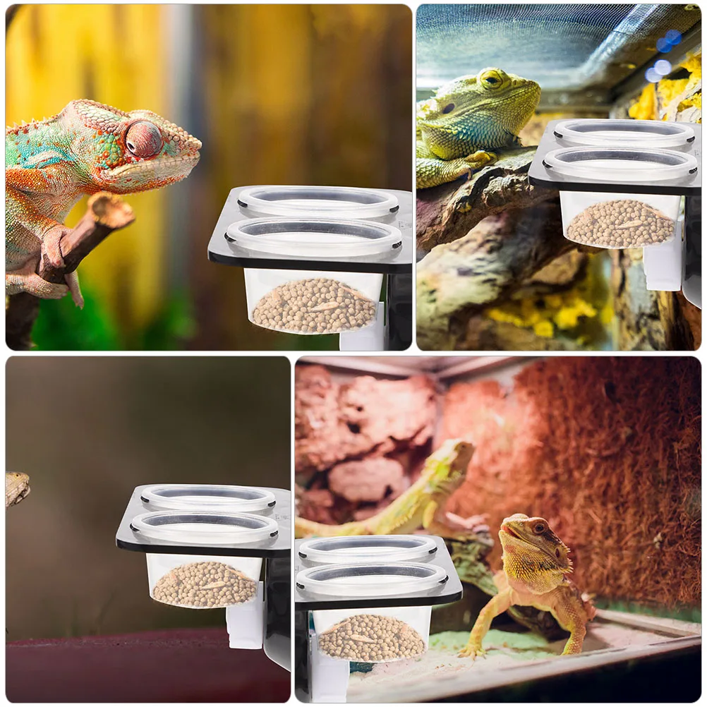 

Feeding Ledge Suction Cup Gecko Feeder Durable Cage Water Bowl Easy Clean Double Cups Ledge For Reptile Pet Feeder Platform
