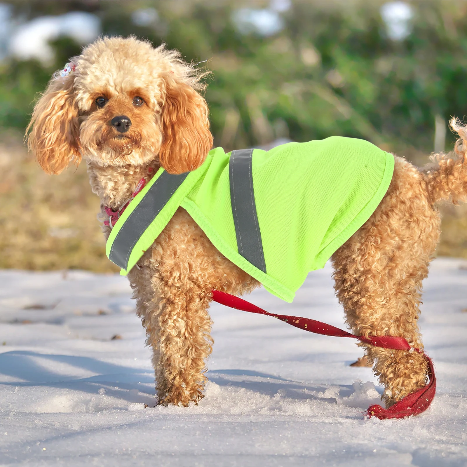 

Pet Reflective Vest High Visibility Dog Gear Jacket Reflective Security Vest Running Adjustable Security Clothes