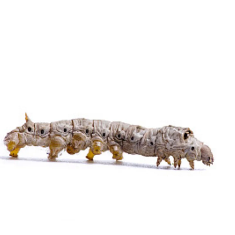 

Arrma ARA2106 Передние и задние защитные пластины из гранитной нержавеющей стали 1/18 LY146 — прочные, защитные обновления