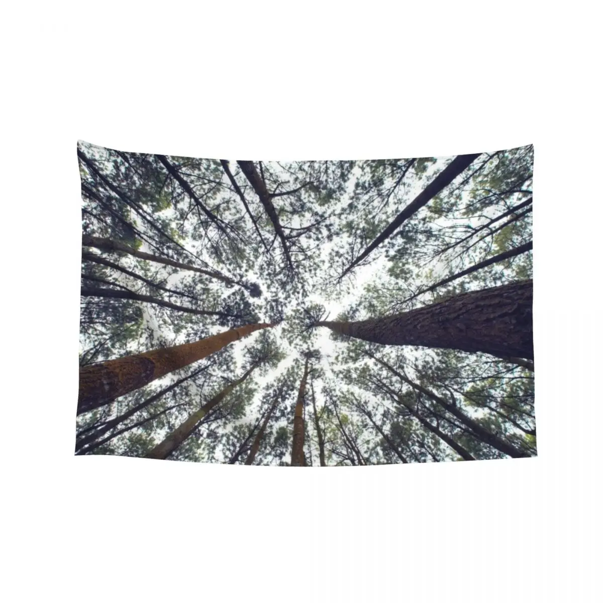 

Light Through the Trees Tapestry Wall Art Room Ornaments Korean Room Decor Tapestry