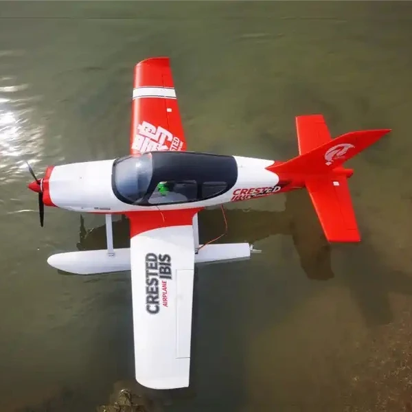 1220mm Wingspan Large Size Amphibious Remote Control Aircraft Model Epo Material Crested Ibis Business Jet Toy Gift