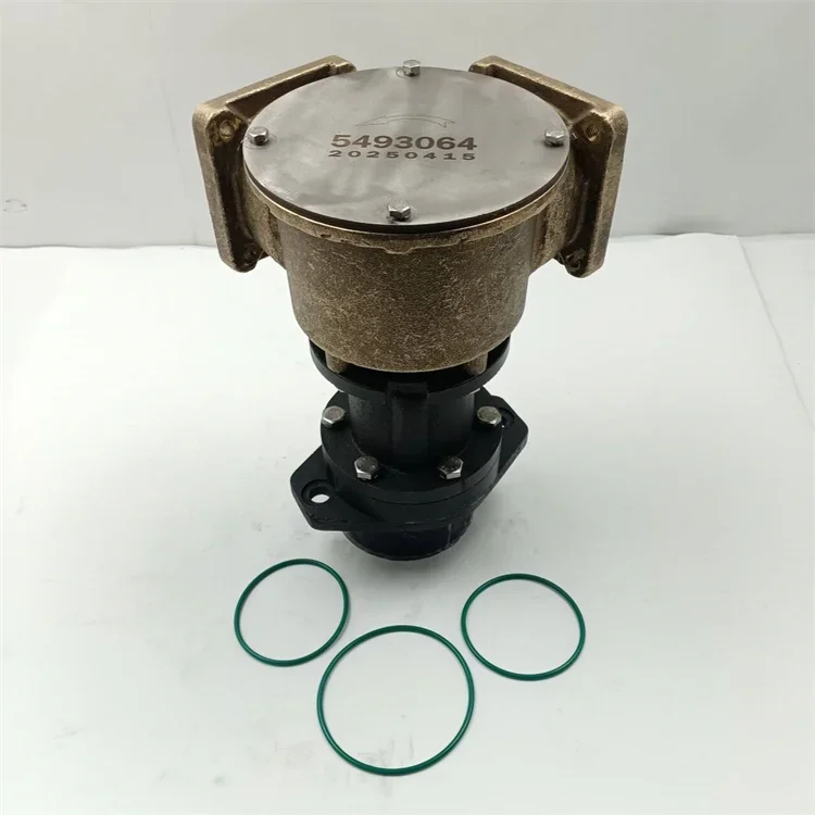 Hot Sale K19 QSK19 Diesel Engine Sea Water Pump 3866609 Cast Iron Material for Marine Boat Genset Generator Use