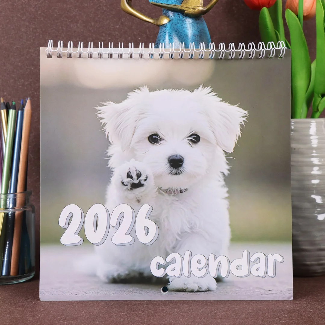 

Funny Dog 2026 Wall Calendar Monthly Wall Calendar Large Grid Monthly Organizer For Holiday Preparations Team Meetings Classroom