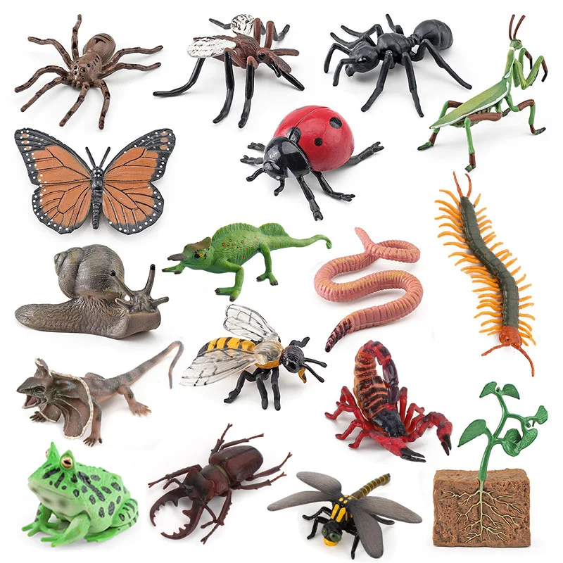 Brinquedo educacional modelo de réptil de insetos-saço joaninha borboleta kit de crescimento do ciclo de vida para ferramenta de ensino de iluminação do jardim de infância