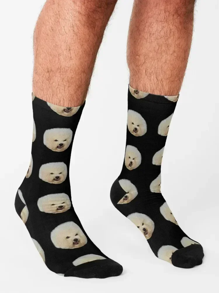 Calcetines para perros Bichon Frise muy hermosos, medias antideslizantes sueltas en movimiento, calcetines para mujer y hombre