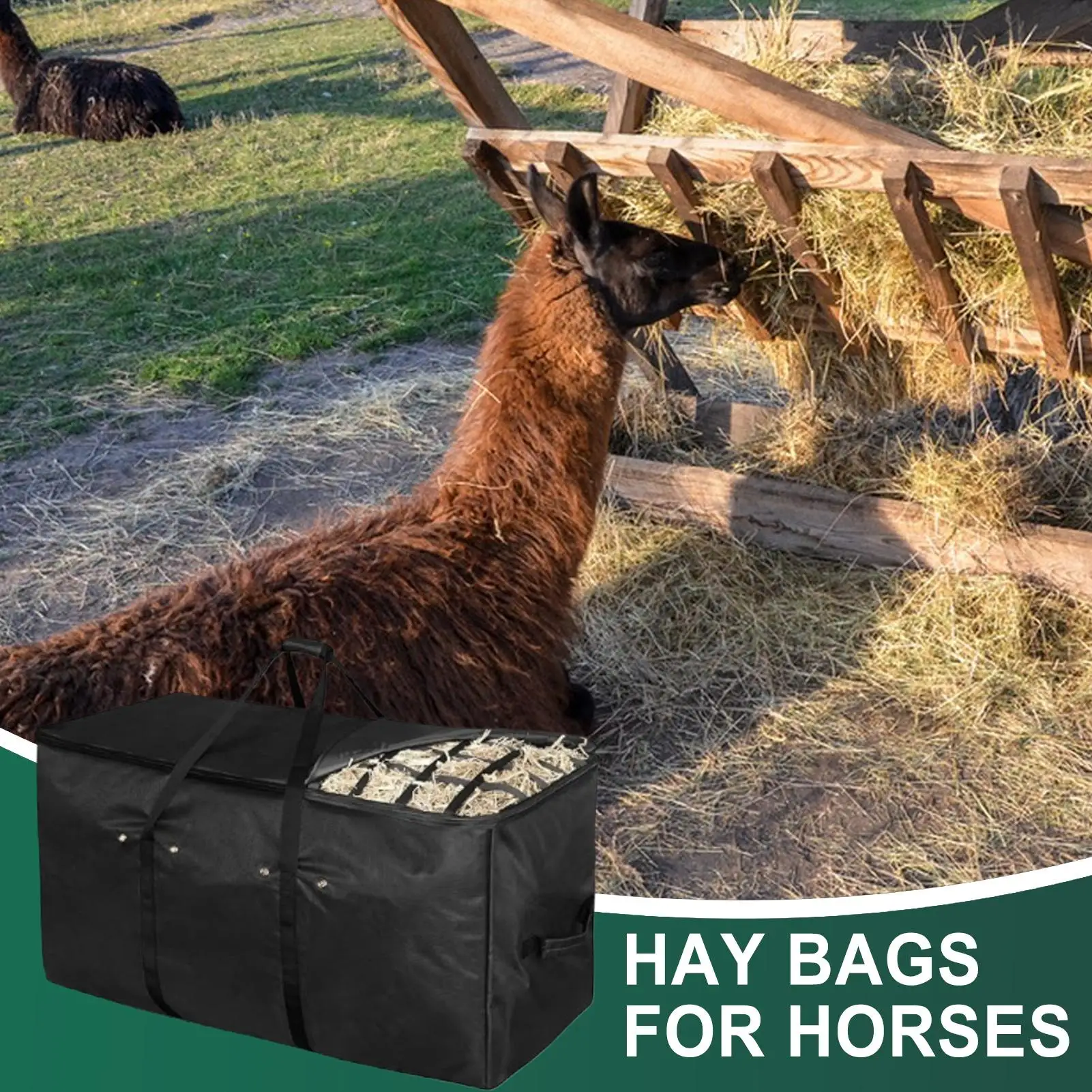Thumbnail 4 - #27 Best Automatic Livestock Feeders to Buy In 2026