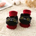 gato