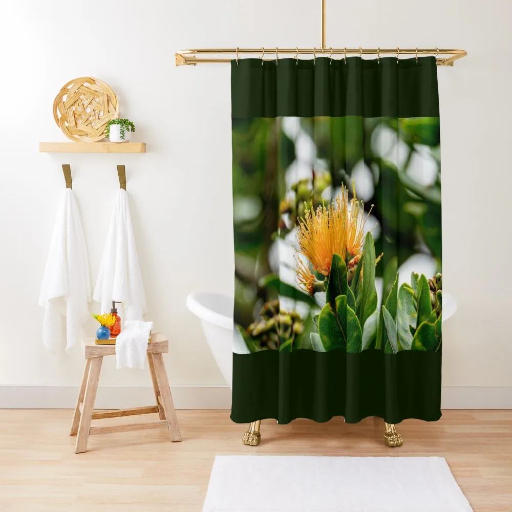 

Orange Lehua Blossom Shower Curtain For Shower Waterproof Bathroom Shower For Bathrooms Anime Curtain