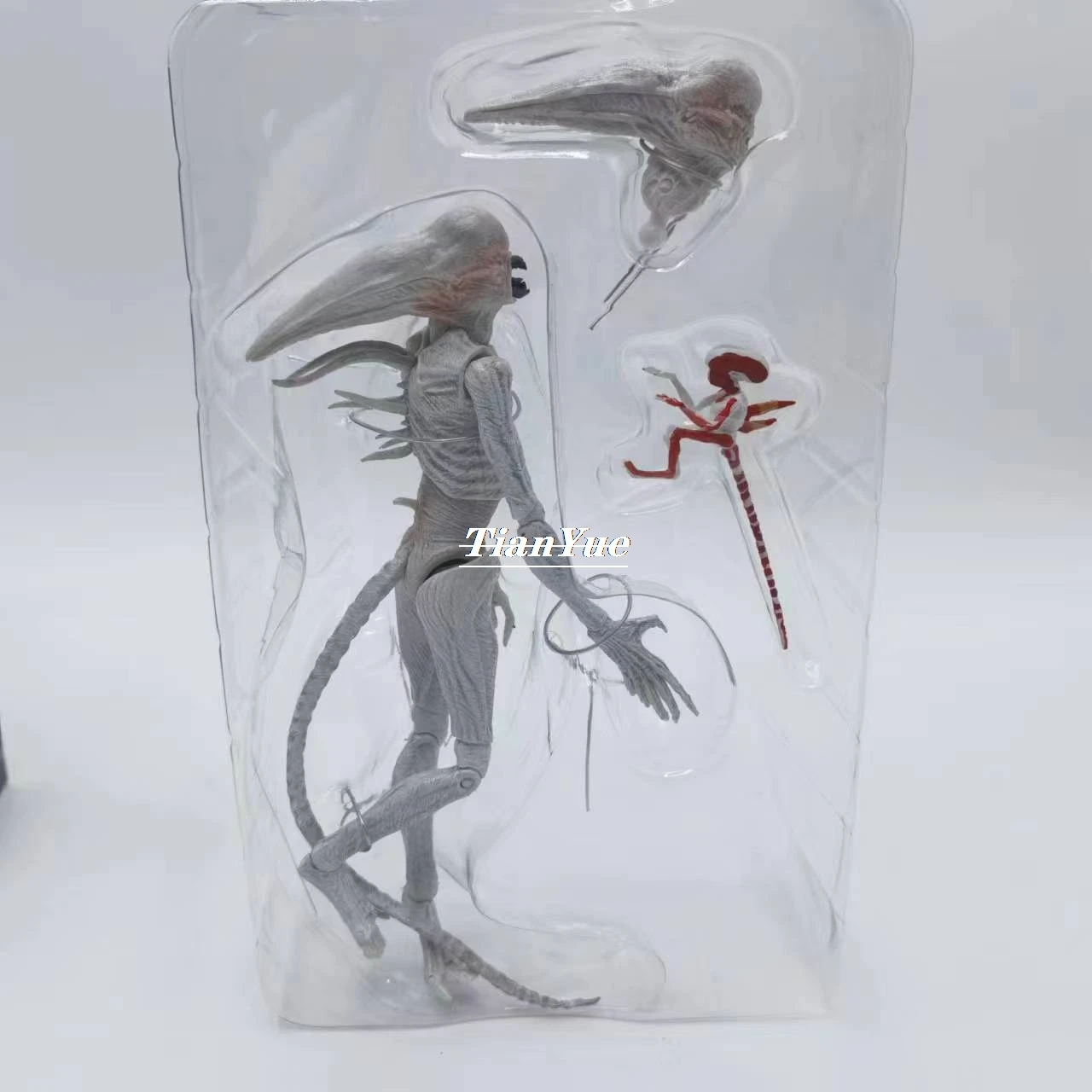Variant: no retail box