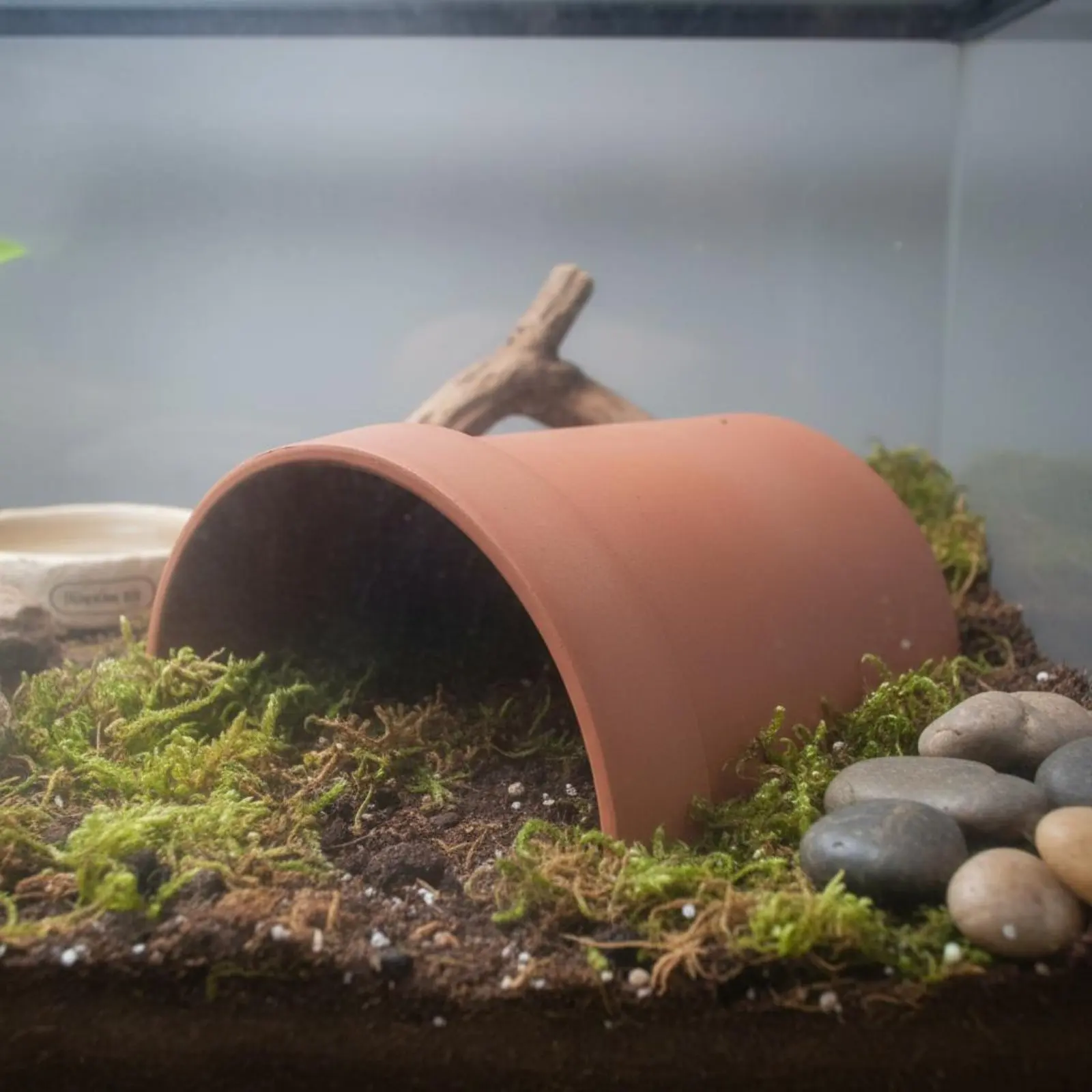Tortoise Cave Hide Humid Hideaway Amphibian Basking Cave Turtle Climbing Hide Moisture Friendly Climbing Ramp Hideout Sturdy