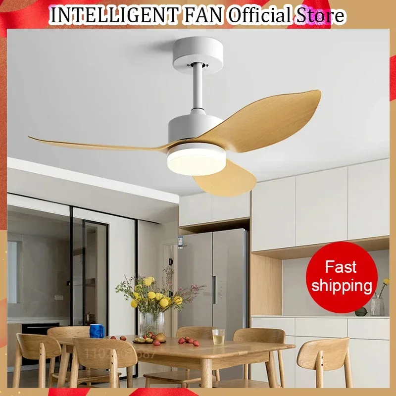 48inch Restaurant Fan Llights Modern Simplicity DC Remote Control Black Ceiling Fan Living Room Indoor 110V 220V Electric Fan