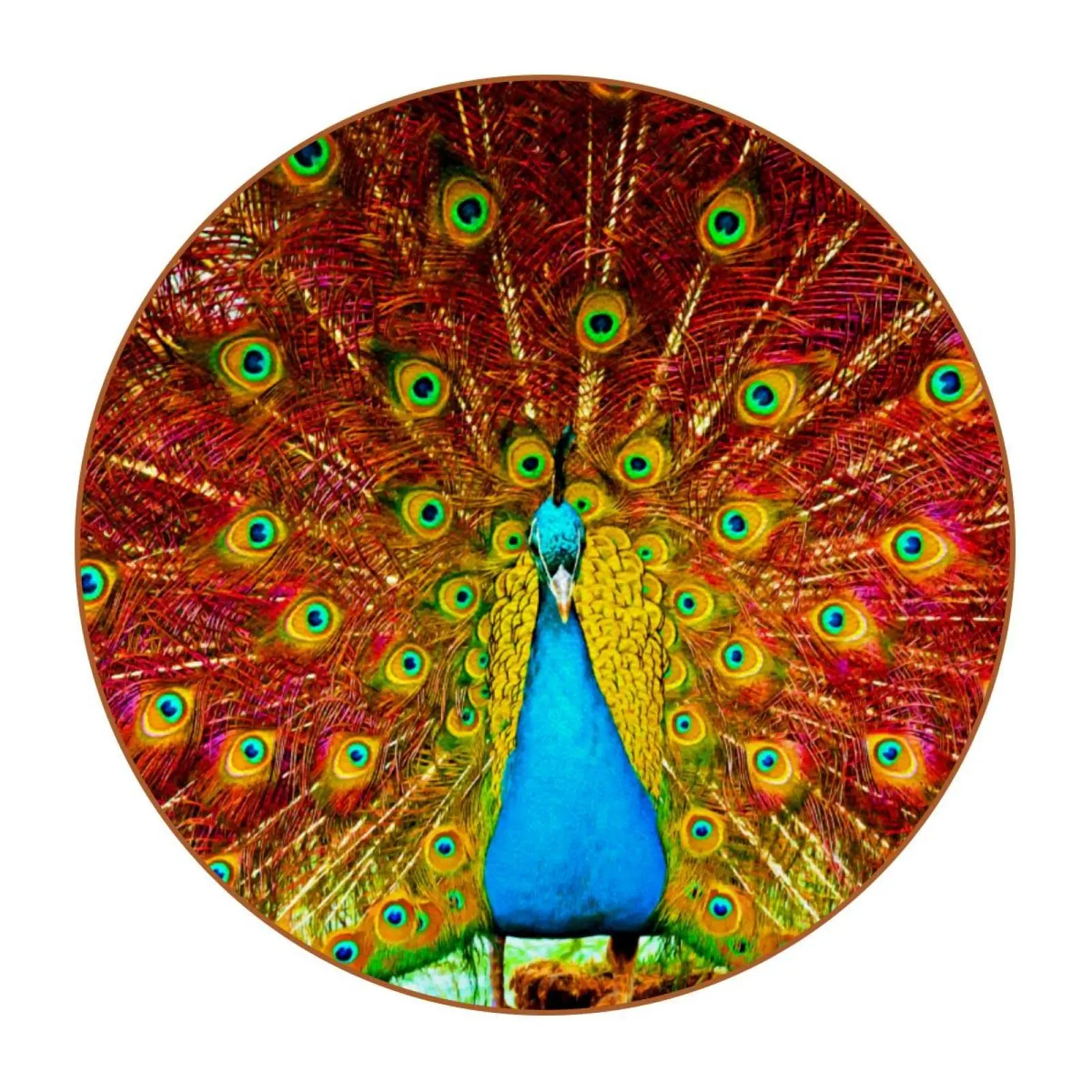 Colorful Peacock Pattern Round Coaster 1 Piece Drink Coasters Cup Coasters for Table,Gifts for New Home, Birthday, Room Decor