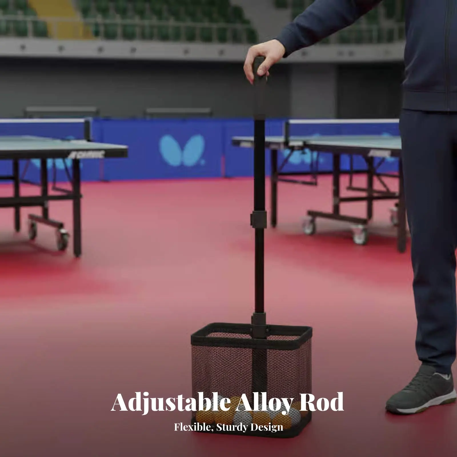 Table Racket Sport …