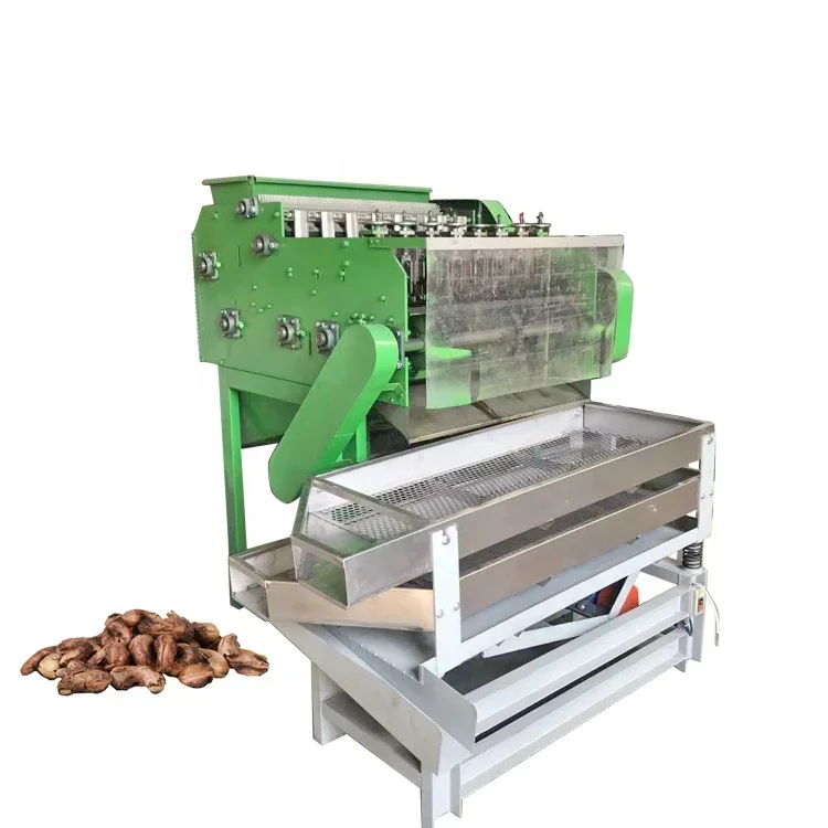 

1 Automatic South Africa Raw Almond Nut Cashew Fruit Nut Shelling Peeling Processing Machine