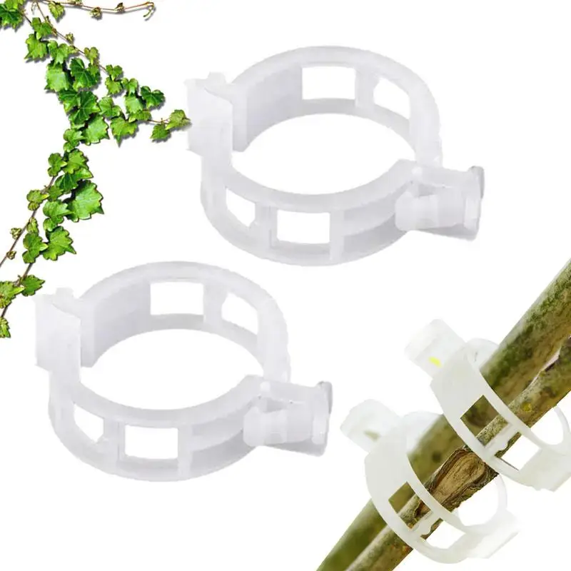 

Plastic Plant Support Clips Protection Grafting Fixing Tool Gardening Supplies For Vegetable Tomato Orchard and Garden Tools