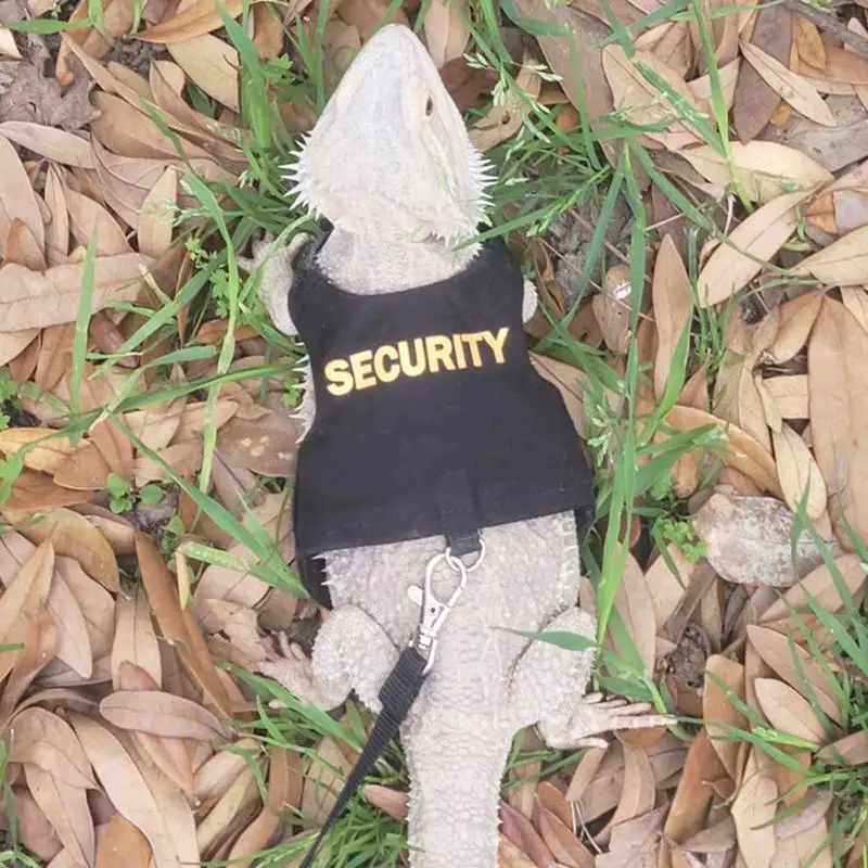 Uprząż i smycz dla gadów Jaszczurka Gecko Brodaty Smok Wygodne ubranka dla zwierząt domowych na zewnątrz Kameleon — zdjęcie 4