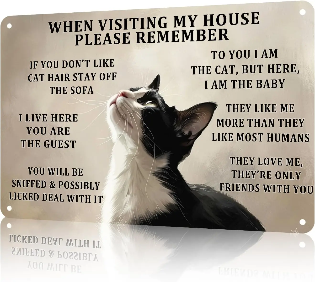Cat Rules Sign When Visiting My House Please Remember Wall Art Decoration Restaurant Cafe Wall Decoration 8x12 inch sign