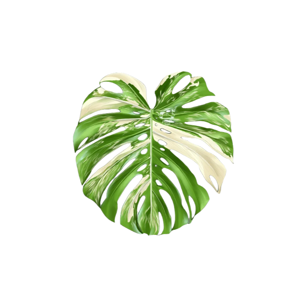 New Acrylic Green Leaf Coaster Irregular Shape Anti Slip Plant Leaf Cup Mat Easy to Clean Heat Insulation Cup Pad Desk Ornament
