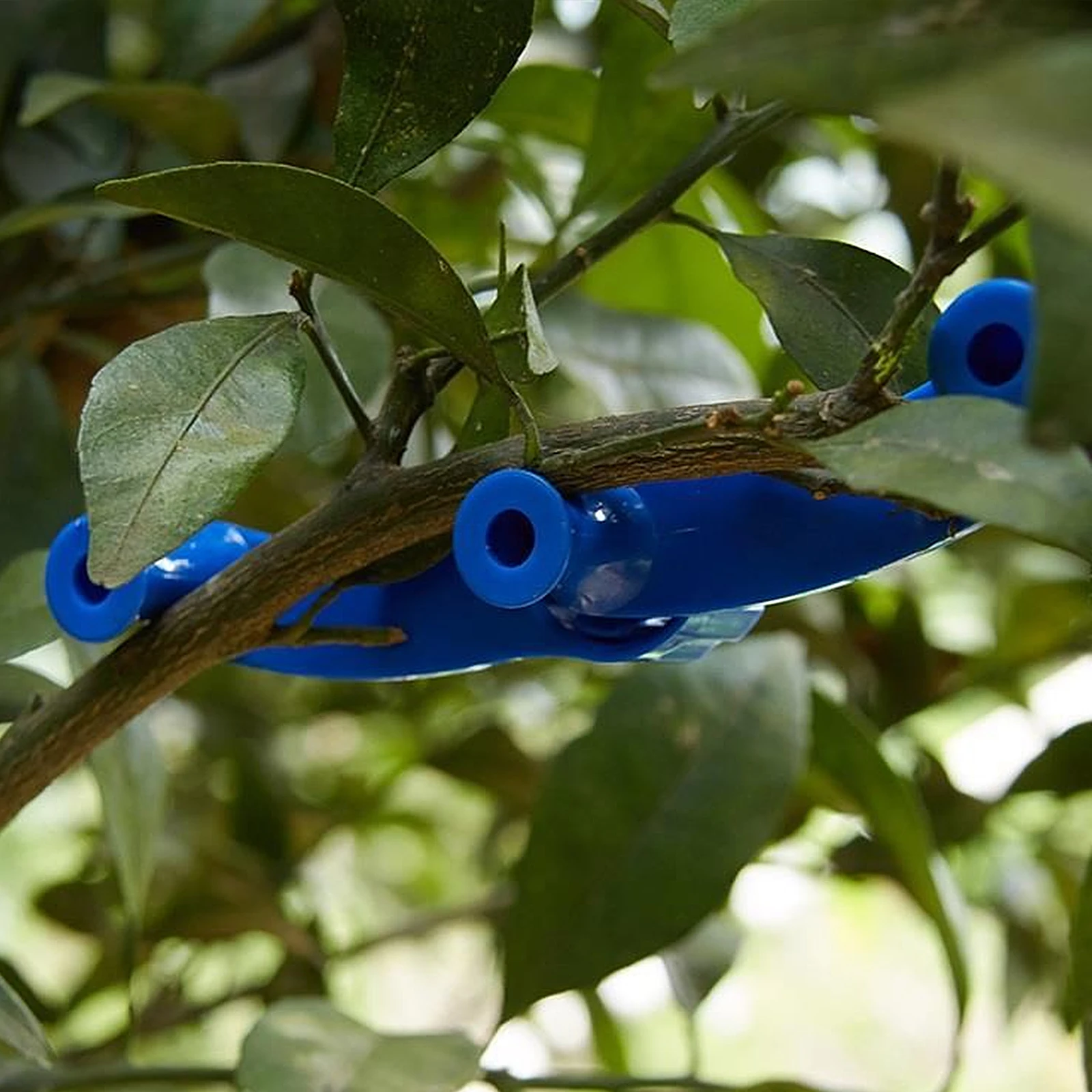 

5pcs Plant Branch Benders Adjustable Plastic Twig Fixing Clamps Reusable Garden Training Clips Support Tools For Climbing Plants