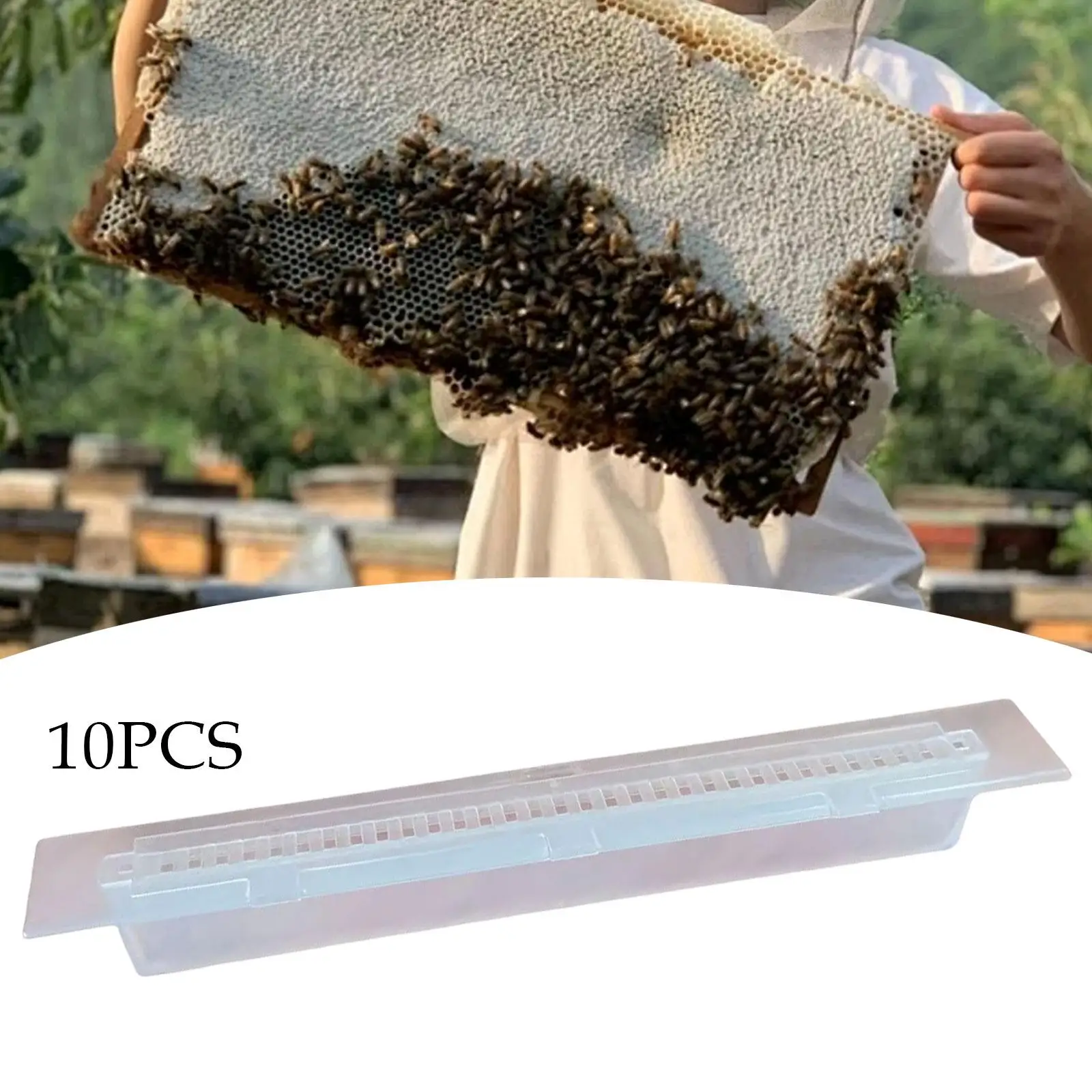 

10 шт., маленькие ловушки для жуков, легко моющиеся, прозрачные аксессуары, удобные принадлежности для пчеловодства, многоразовый инструмент для пчеловода