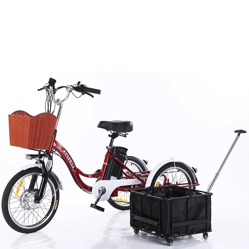 

20-Inch Cheap Adult Electric Tricycle Motorcycle 350W 48V 3 Wheel Electric Bicycle For Men Offer Lithium Battery Pedal Tricycle