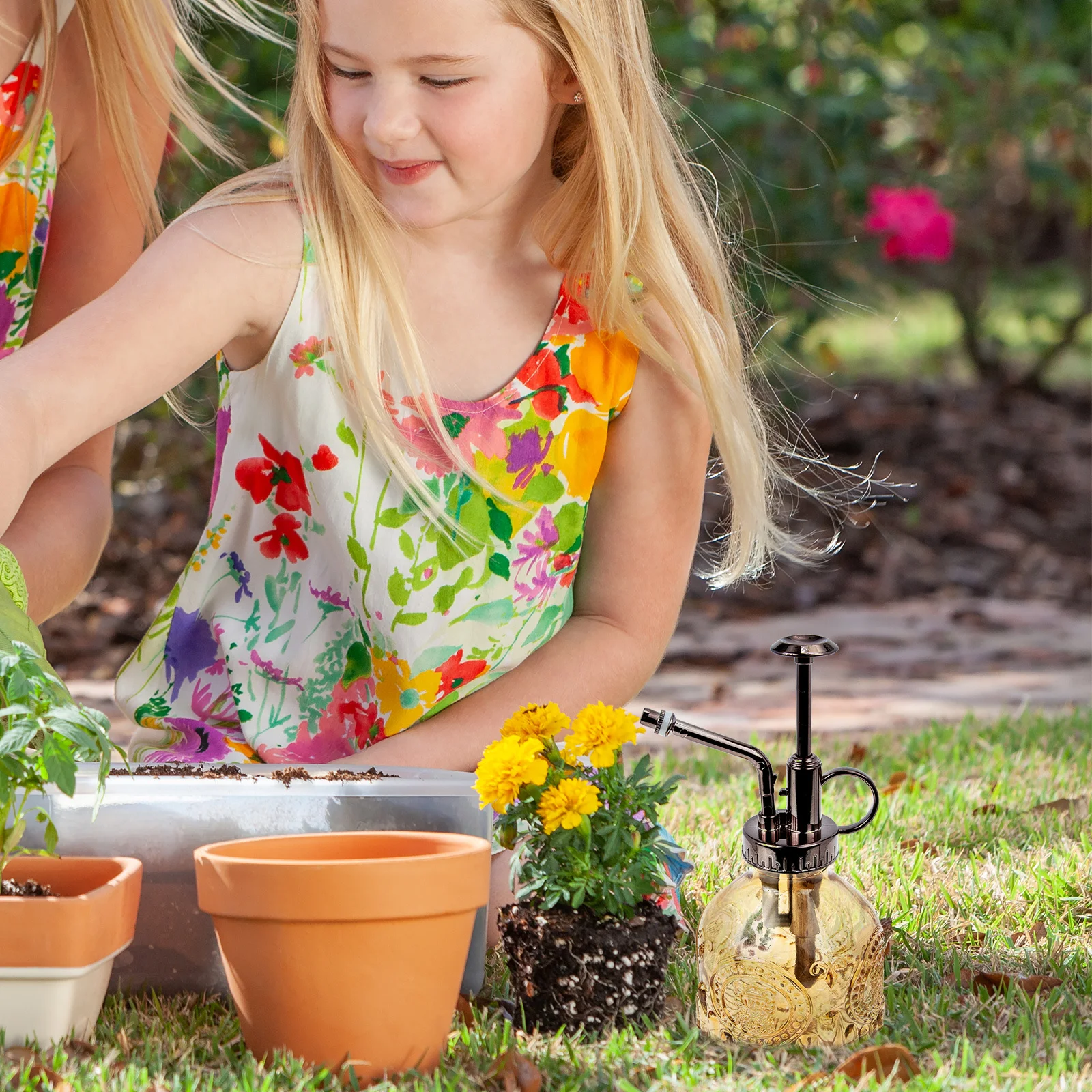 

Glass Watering Bottle Retro Plant Sprayer Vintage Pump Design for Small Potted Plants Indoor Outdoor Beautiful Glass Watering