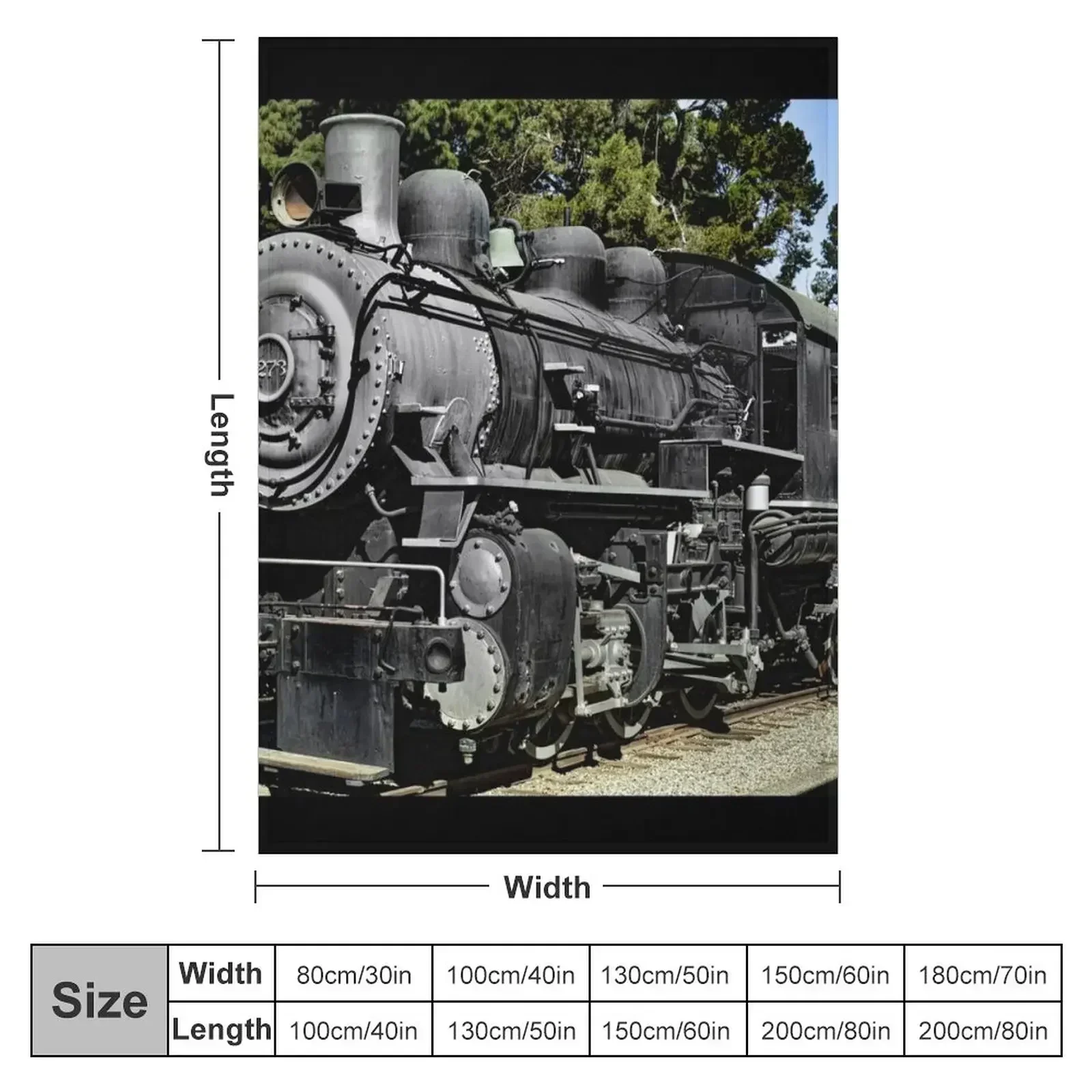 Southern Pacific Railroad Steam Locomotive No. 1273 - Travel Town Railway Museum Throw Blanket Single Cute Plaid Blankets