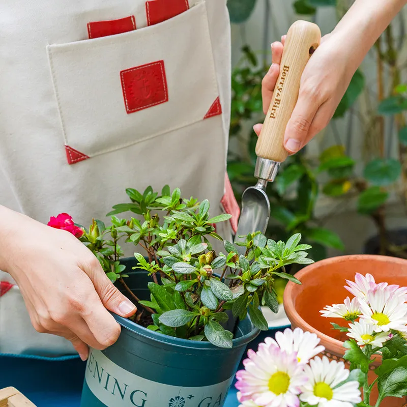 Gardening Forest Household Flower Planting Gardening Tools Small Shovel Off Pot Artifact Dig Soil and Transfer Seedlings