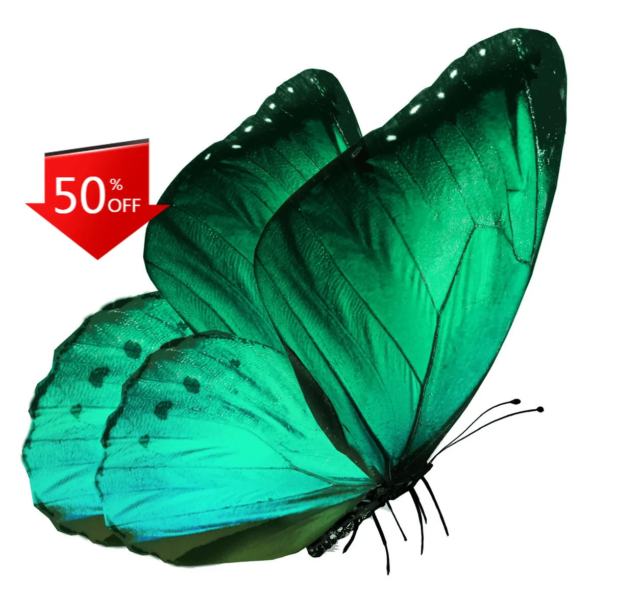 Green Butterfly Vibrant Love Funny Car Laptop Window Bumper Waterproof Vinyl Decal Decoration Cool Cool Cool Retro Aesthetic