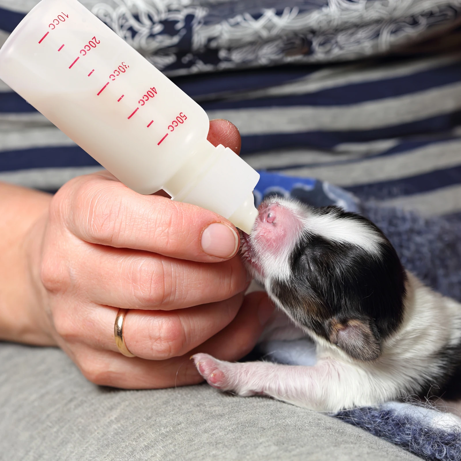 

4pcs 50Ml Bottle Nursing Feeding Bottle For Puppies Kittens Squirrels Newborn Animals Lightweight Scale Line Easy