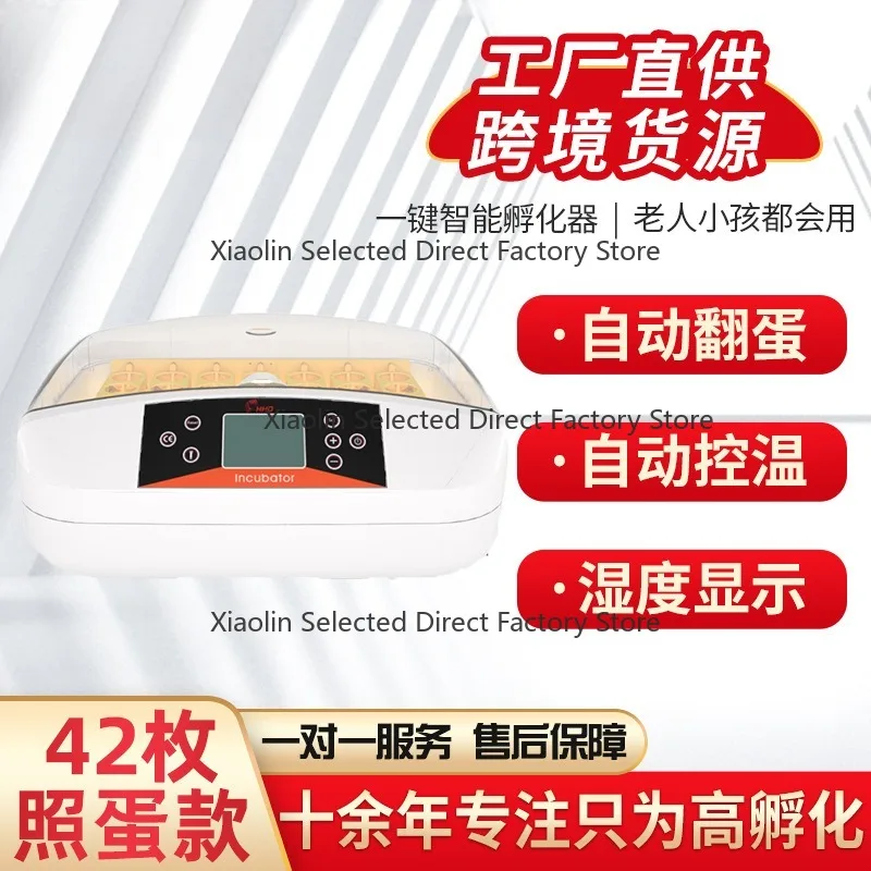Mini Fully Automatic Smart Egg Incub-ator With Dual Temp Humidity Display Transparent Lid For Hatching Chicken Quail Eggs