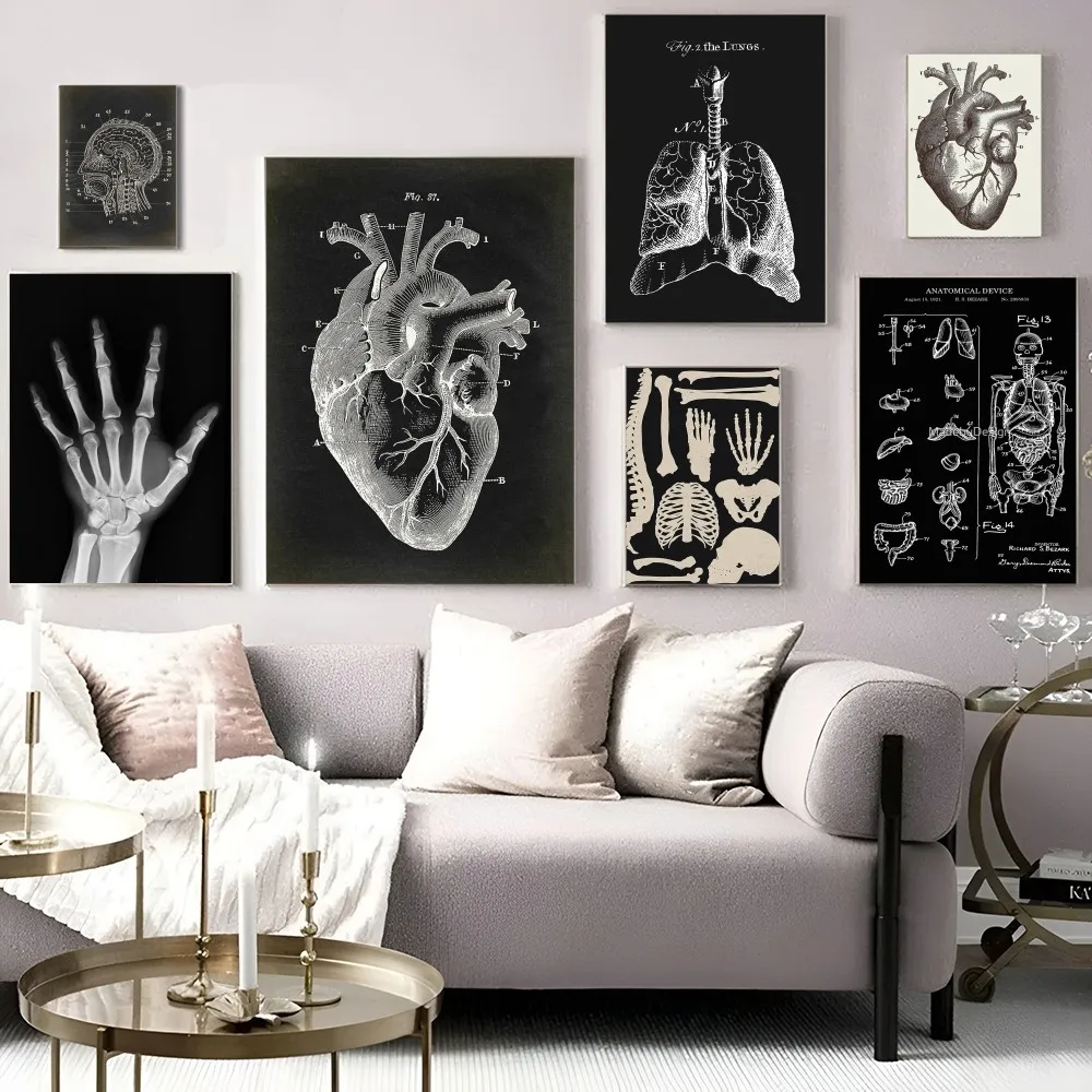 Human Anatomy Muscles System Art Whitepaper Poster HD Quality Poster Wall Art Painting Study Room Wall Decor
