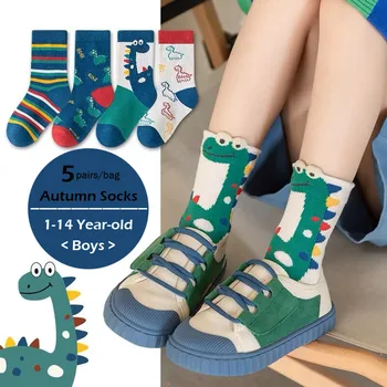 Kinder socken Herbst Jungen Cartoon Dinosaurier Socken 1-14t Kinder Baumwoll socken Student sportliche Socken 5 Paar