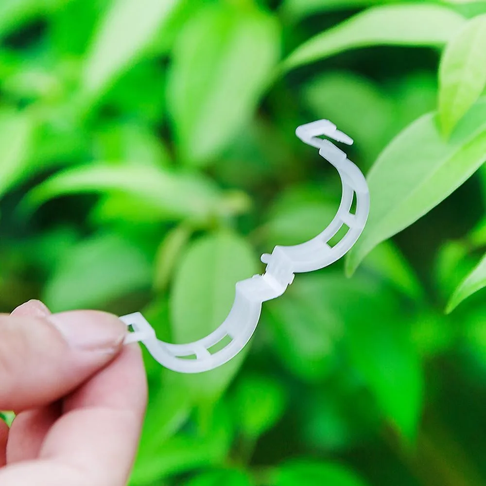 Clips en plastique réutilisables pour plantes, supports de plantes, connecteurs de tige de tomate fiosphvine, greffe de plantes végétales, outils de jardin verger, 50 à 500 pièces