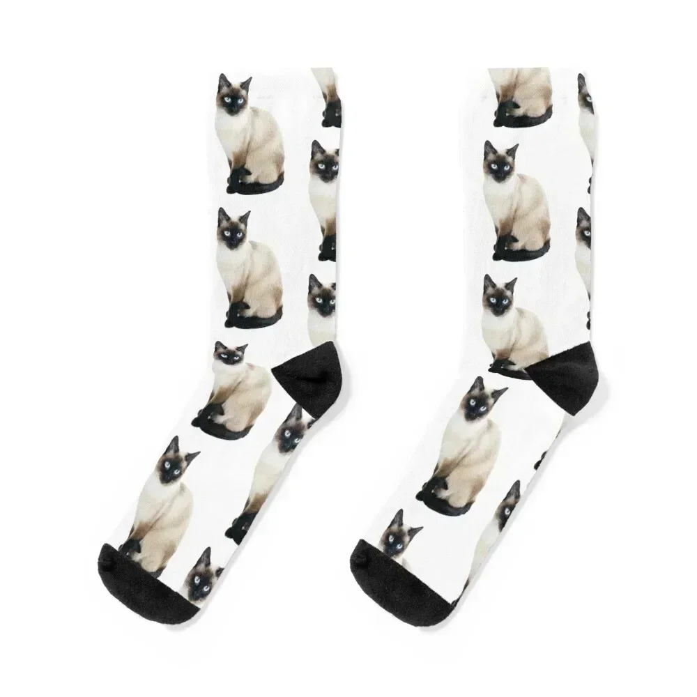 

Siamese Cat Portrait Socks Wholesale colored luxe man Women's Socks Men's
