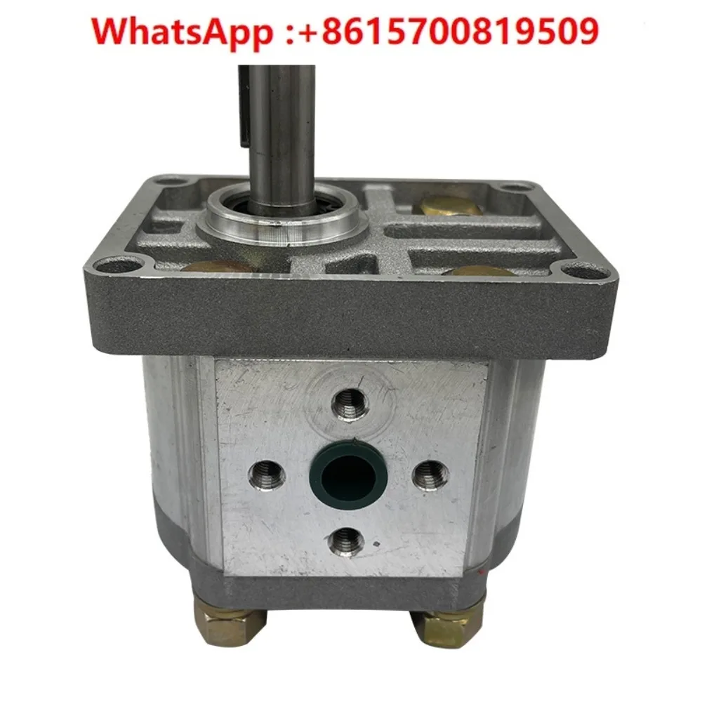 Hydraulic gear pump oil pump assembly CBN-F310/314/316/20/25 small high pressure lhead