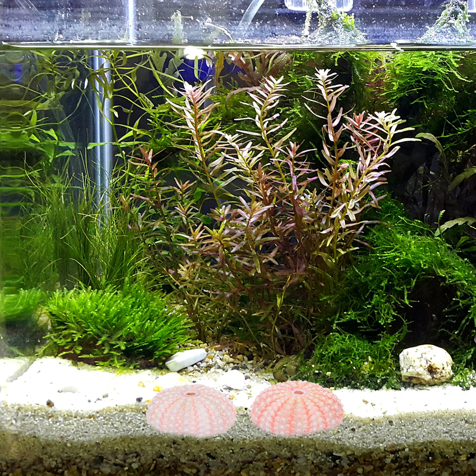 

6Pcs Sea Urchin Decors Aquarium Decorations Realistic Sea Creatures for Fish Tank Desktop and Home Furnishing Accessories