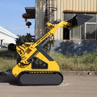 Customized Sliding Steering Loader Mini Farm Garden Maximum Speed 3600rmp Track Loader Excavator Suitable for Home Decoration