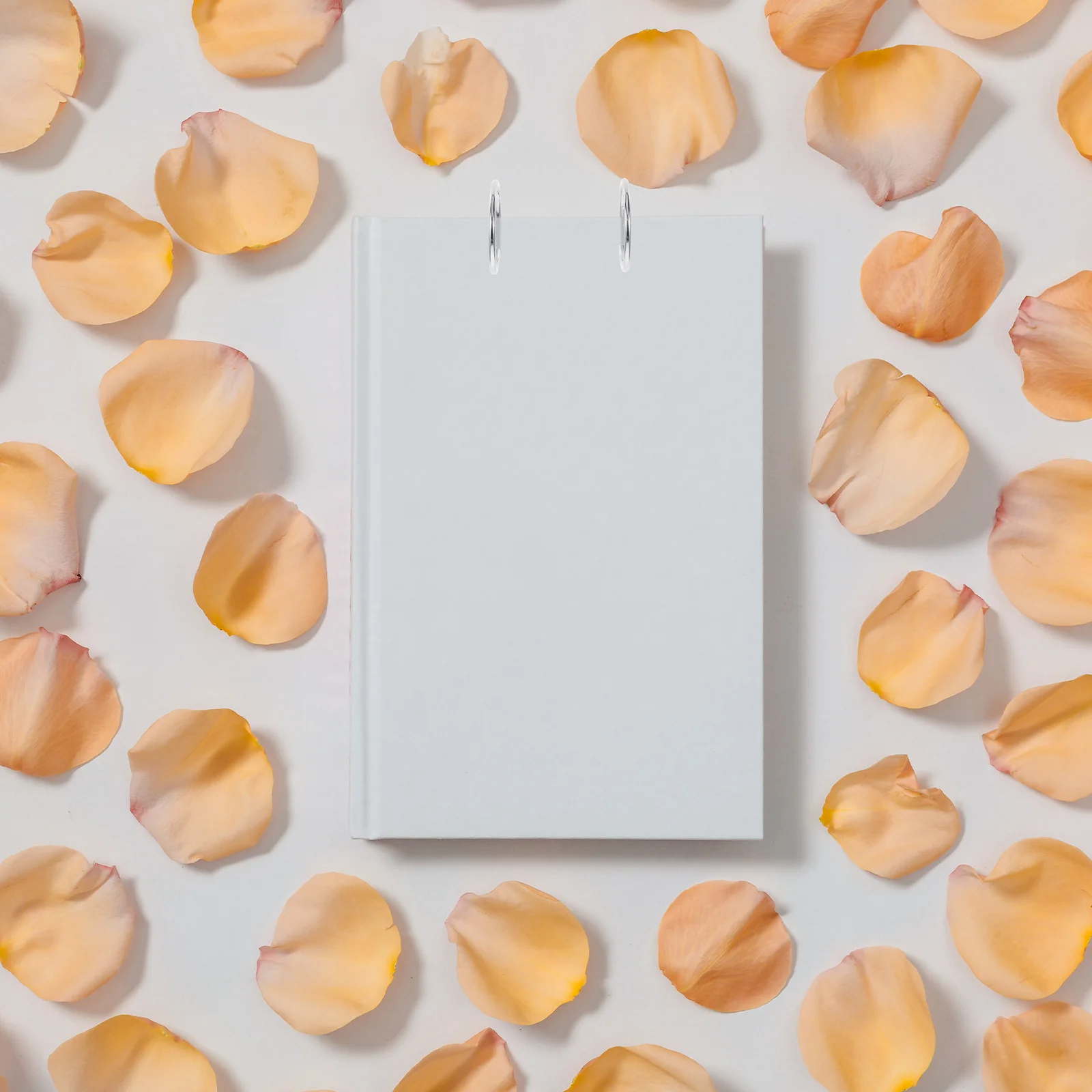 10 قطعة الثقيلة الاكريليك تسجيل الموثق كليب المعادن القائمة حامل حامل لمتجر البيع بالتجزئة عرض حلقة مزدوجة ملزمة كليب للورق